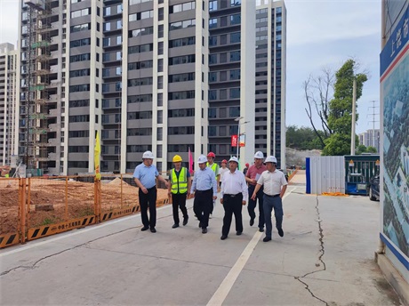 在线赌博网站
外部董事调研集团在建重点项目